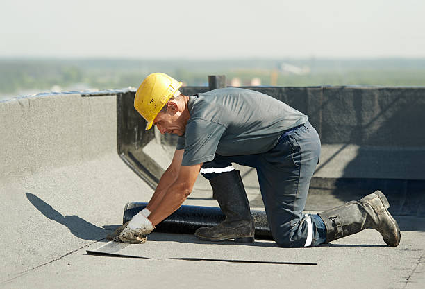 Best Insulation Contractor Near Me  in North Patchogue, NY