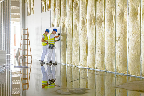 Best Wall Insulation Contractor  in North Patchogue, NY